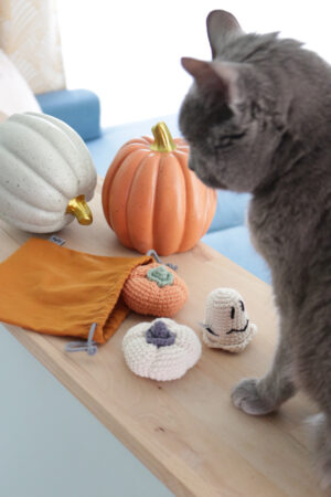 jouets crochet herbe à chat halloween