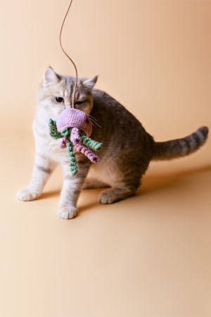 canne à pêche avec herbe à chat méduse en crochet violet vert