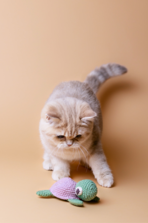 jouet avec herbe à chat tortue en crochet pour chat à la cataire