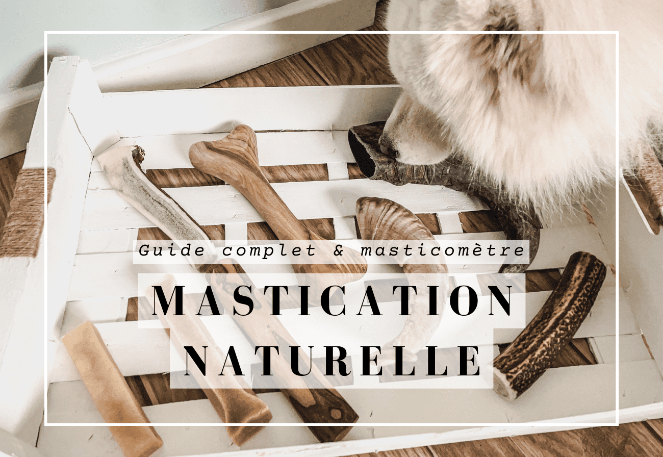comparatif mastication pour chien - guide de la mastication naturelle pour chien par Comptoir des Coussinets