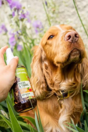 anti puce et tique spray naturel pour chien et chat
