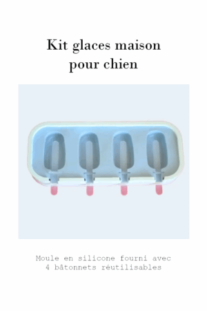 Moule en silicone pour glaces maison – Image 2