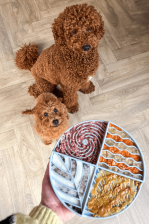 tapis de léchage pour chien pastel bleu lickimat occupation chien