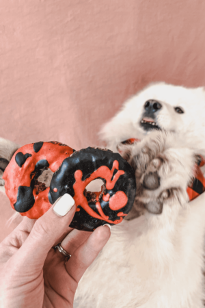 donuts halloween pour chien friandise naturelle