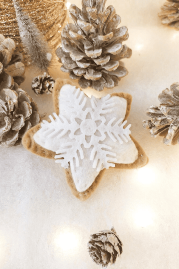 biscuit étoile jouet pour chat noël herbe à chat