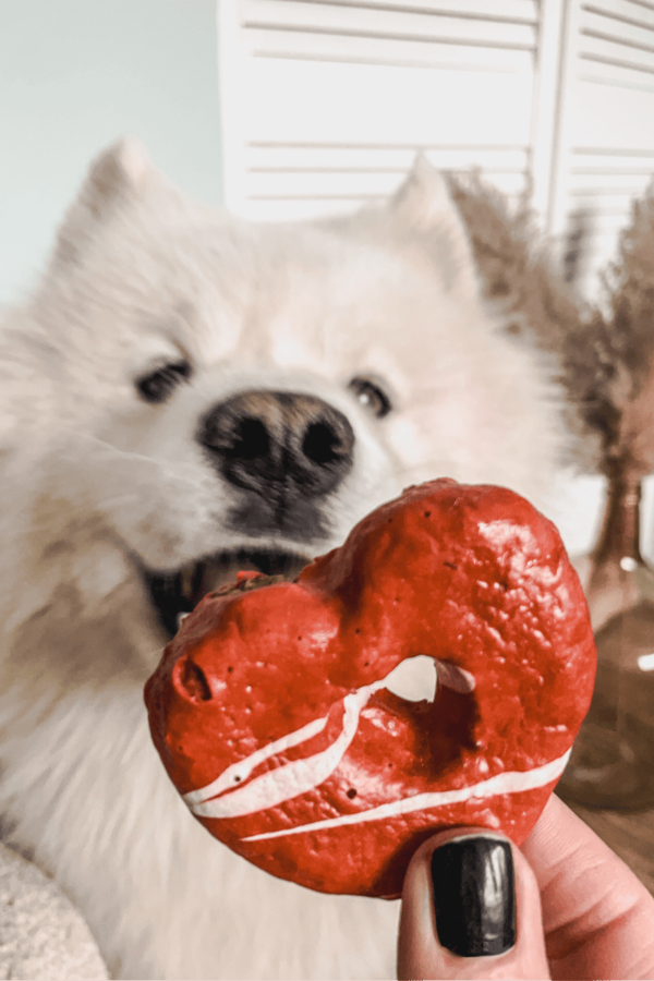 donuts pour chien saint valentin cooka's cookies friandise naturelle pour chien en forme de coeur