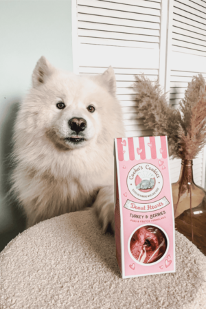 donuts pour chien saint valentin cooka's cookies friandise naturelle pour chien en forme de coeur