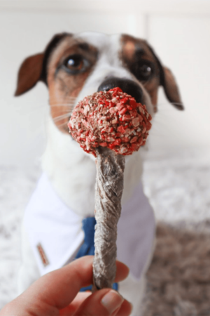 sucette pour chien saint valentin cooka's cookies friandise naturelle