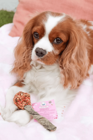 sucette pour chien saint valentin cooka's cookies friandise naturelle