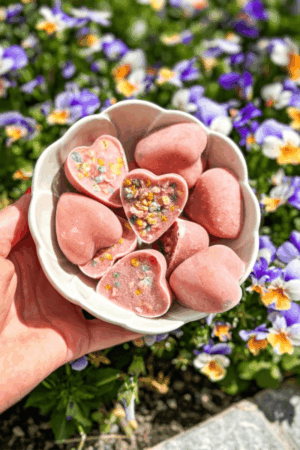glaces pour chien chat poulet fraise cooka's cookies recette glaces pour chien maison