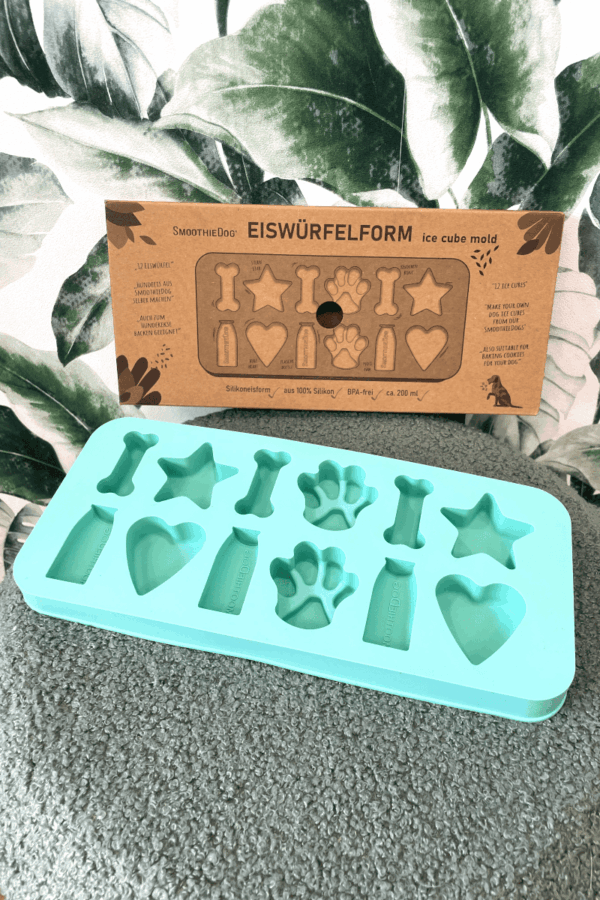 moule silicone animaux