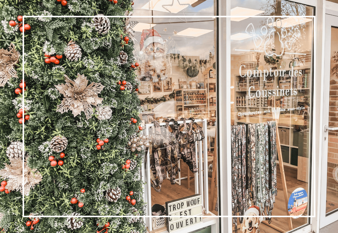 animalerie lille marcq en baroeul noel