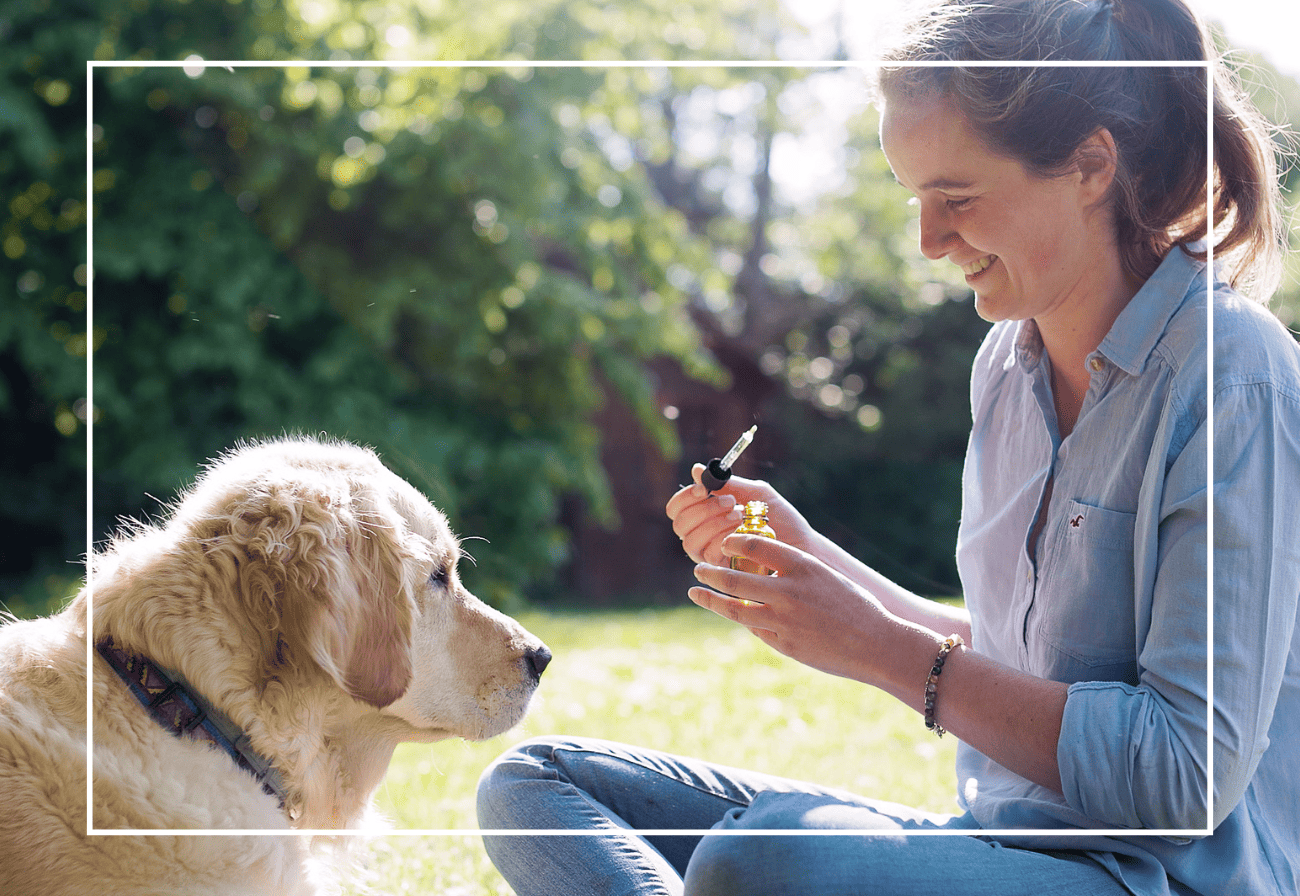 atelier fleurs de bach chien chat lille marcq en baroeul
