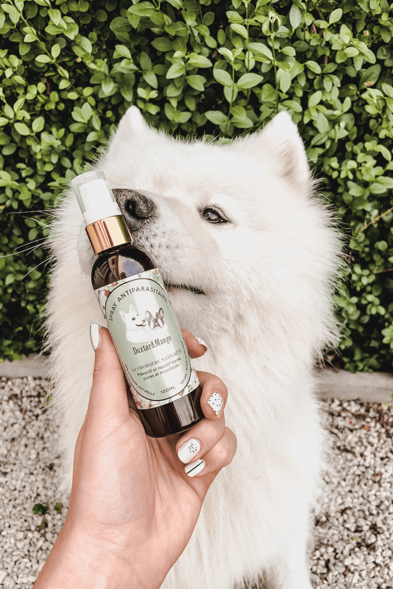 anti puces tiques moustiques naturel pour chien spray