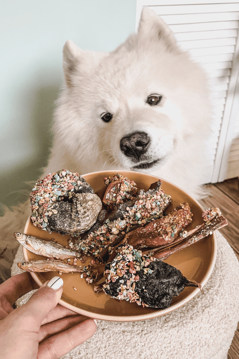 mastication douce pour chien mastication naturelle chien difficile candy crush