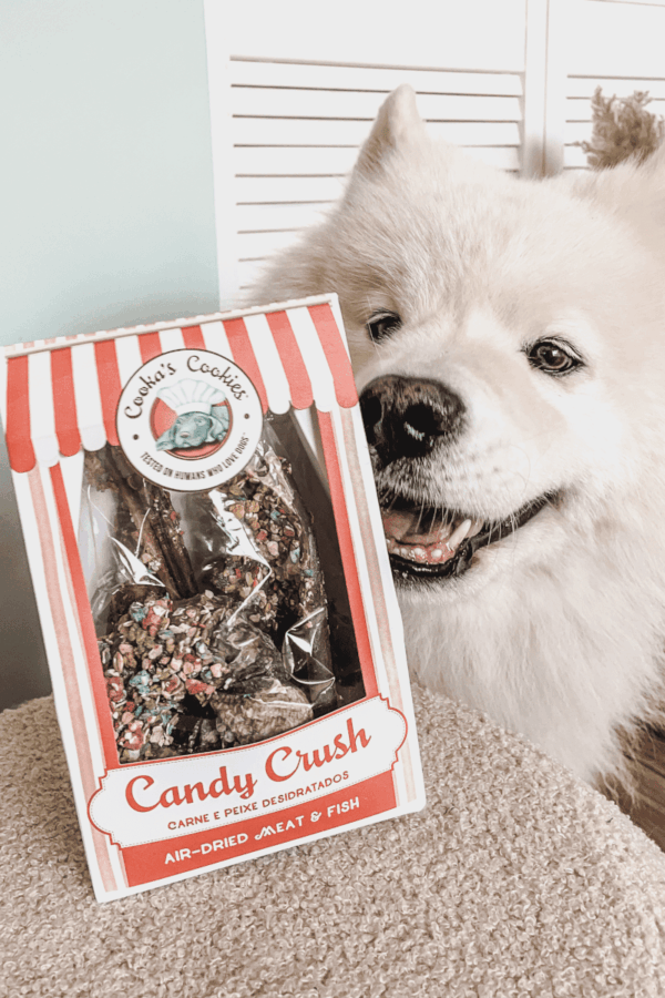 mastication douce pour chien mastication naturelle chien difficile candy crush