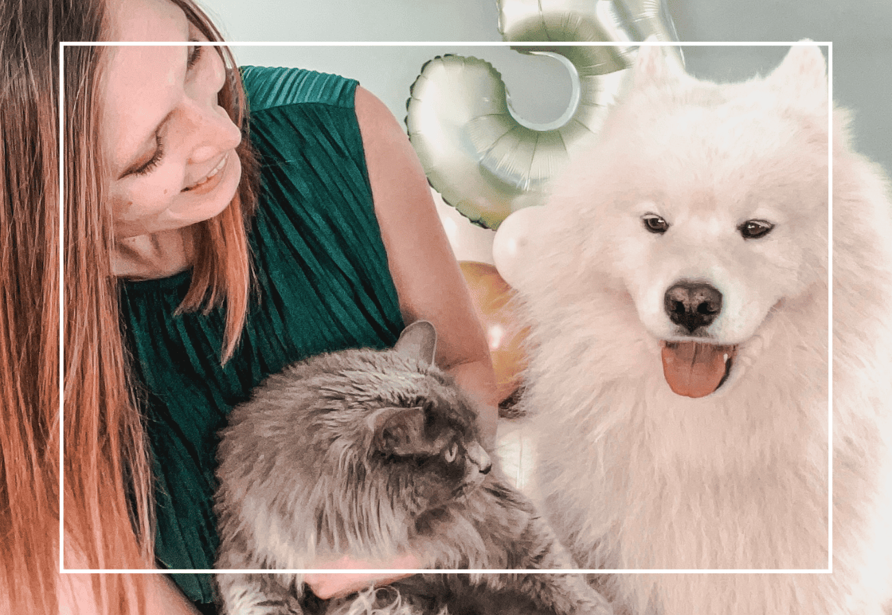 boutique chien chat animalerie Lille Marcq en Baroeul Comptoir des Coussinets