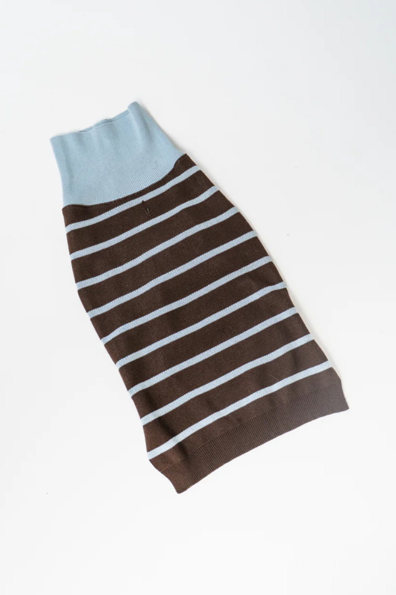 pull pour chien rayures bleu marron