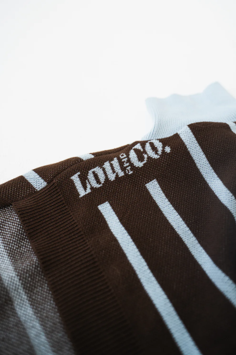 pull pour chien rayures bleu marron