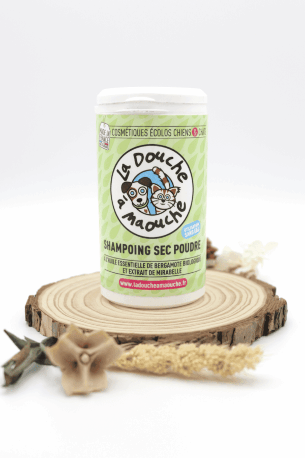 shampooing sec en poudre pour chien chat la douche à maouche